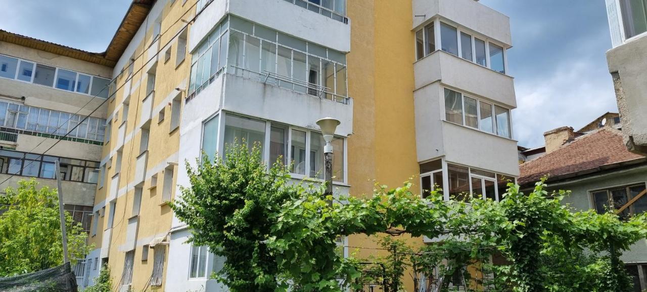 Yla Apartments Piatra Neamţ Exteriér fotografie