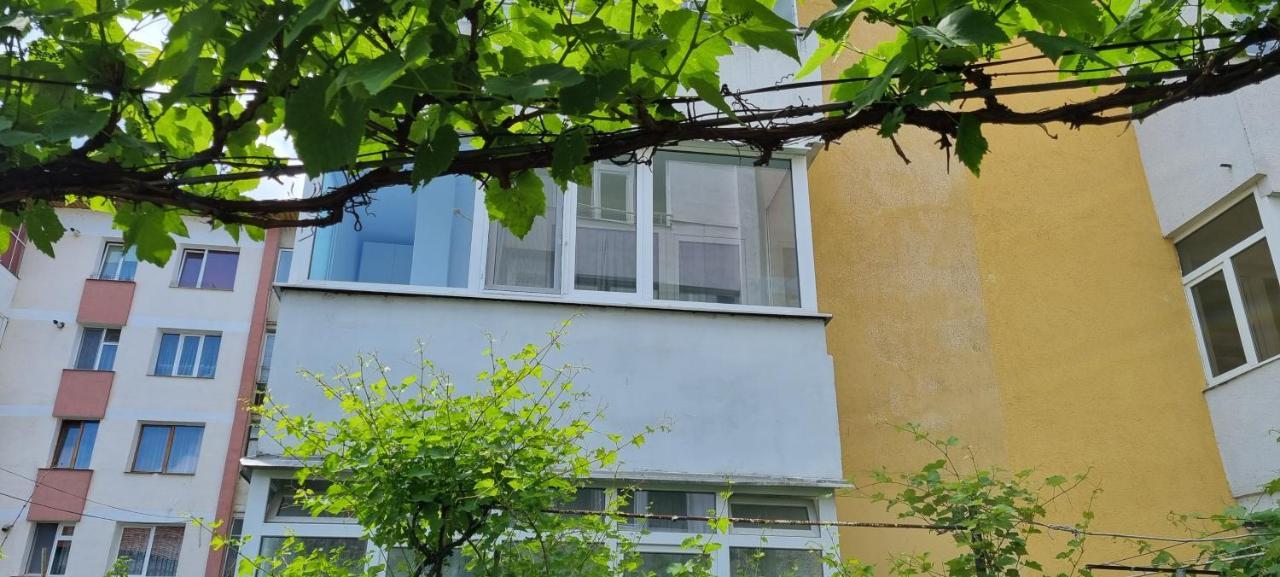 Yla Apartments Piatra Neamţ Exteriér fotografie
